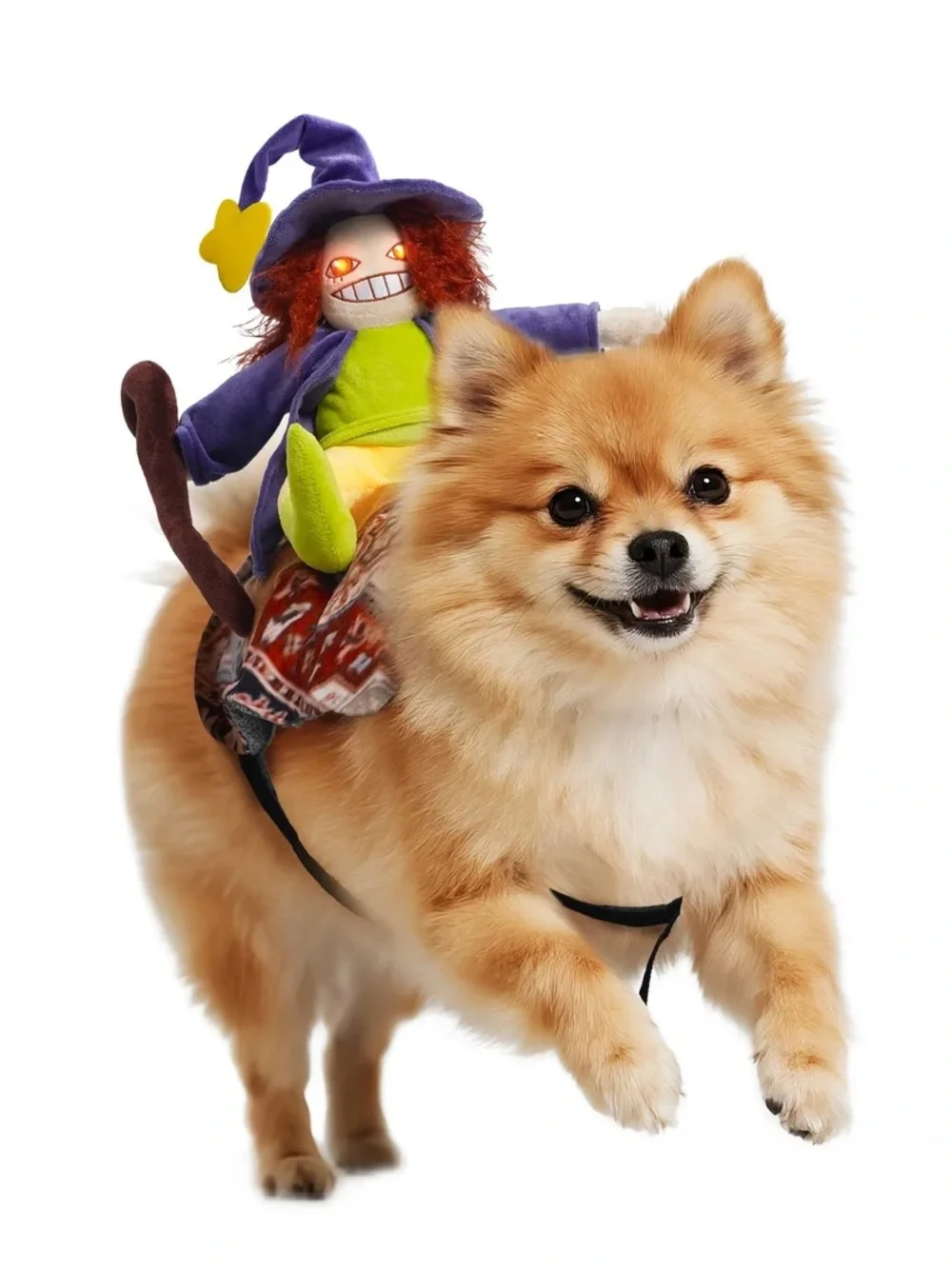 New..Plush Witch Rider Dog Costume - Purple & Green